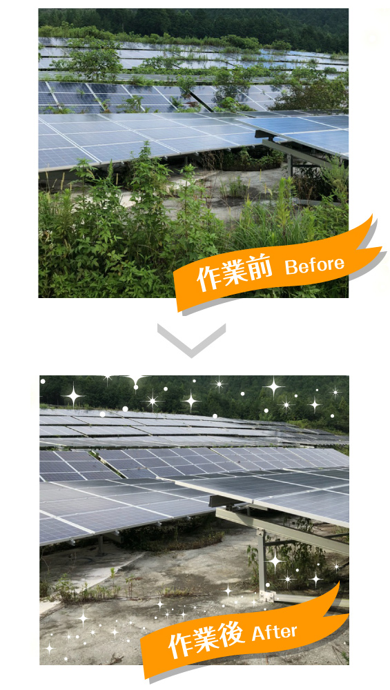 太陽光発電の除草・草刈りサービス｜作業前1