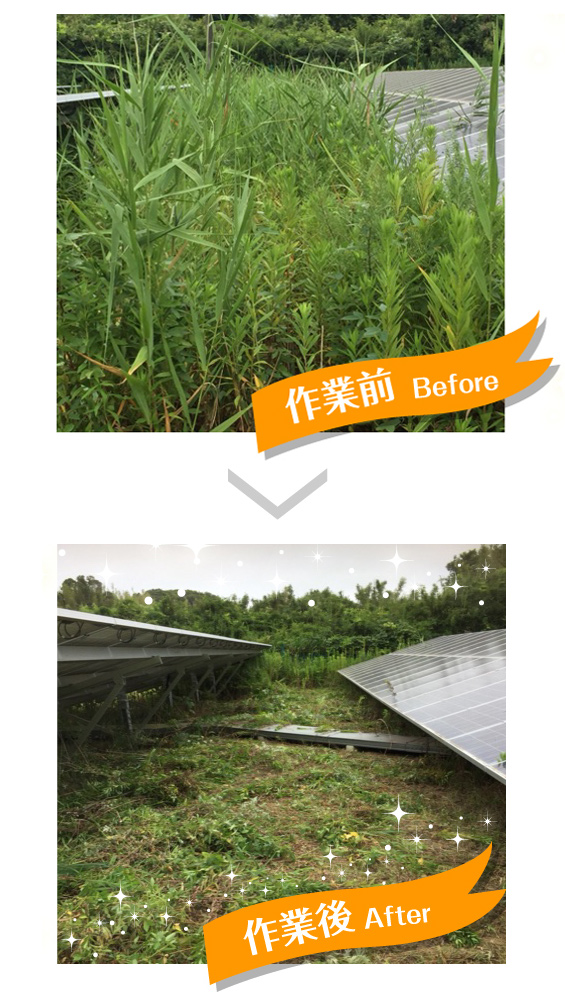 太陽光発電の除草・草刈りサービス|作業前1