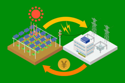 ソーラーシェアリングで農業収入に加え、売電収入も得る